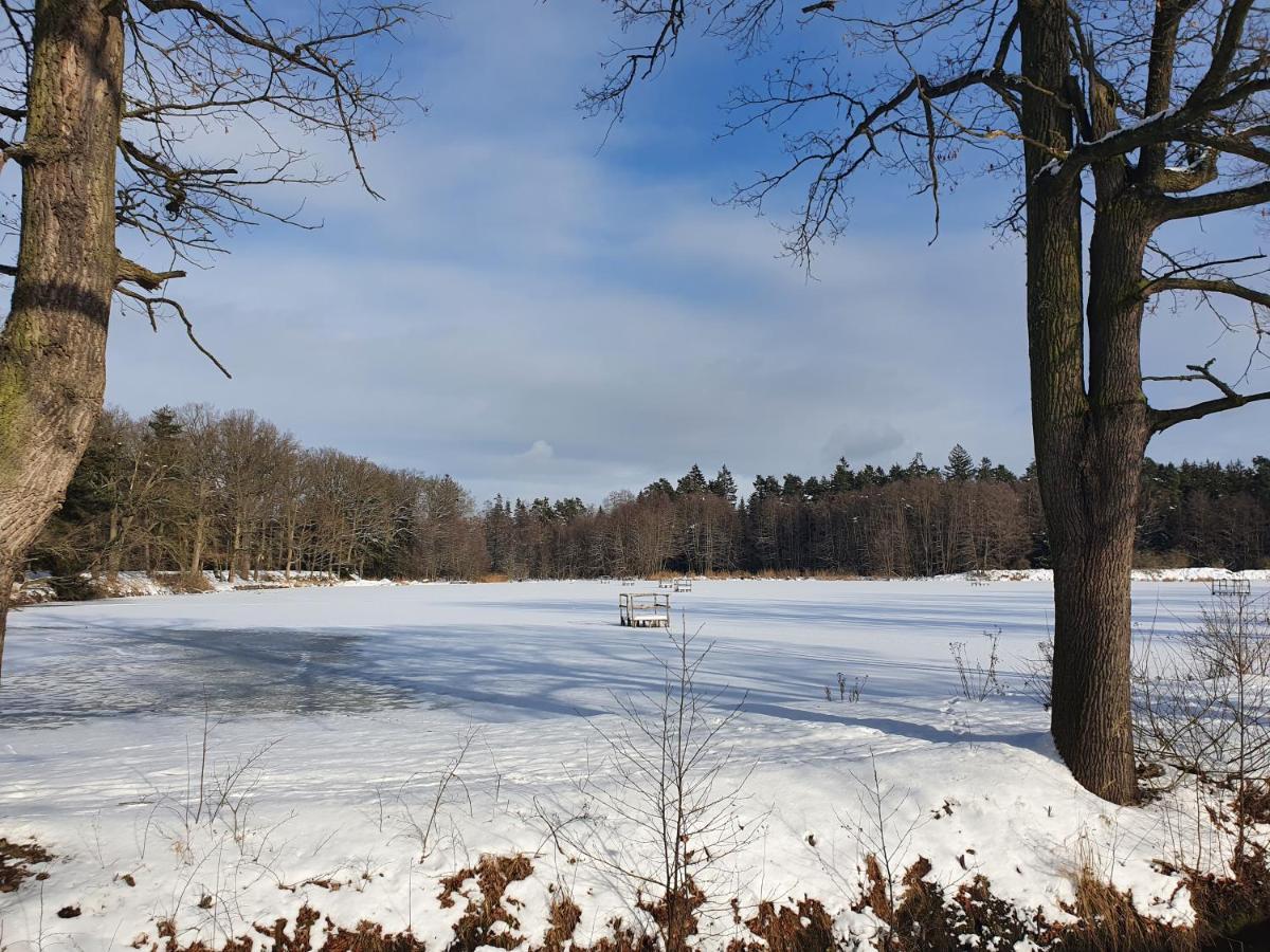 Holiday Home U Capu Lomnice nad Lužnicí 外观 照片