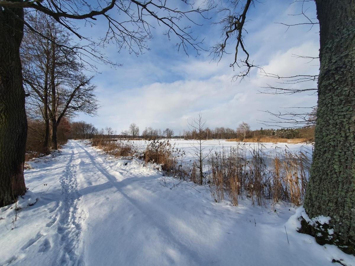 Holiday Home U Capu Lomnice nad Lužnicí 外观 照片